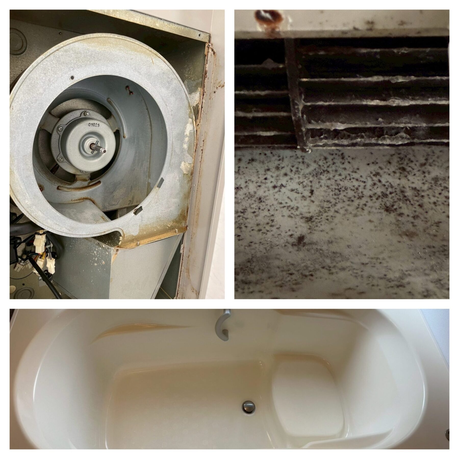 青森県弘前市向外瀬 T様宅：3点セットクリーニング